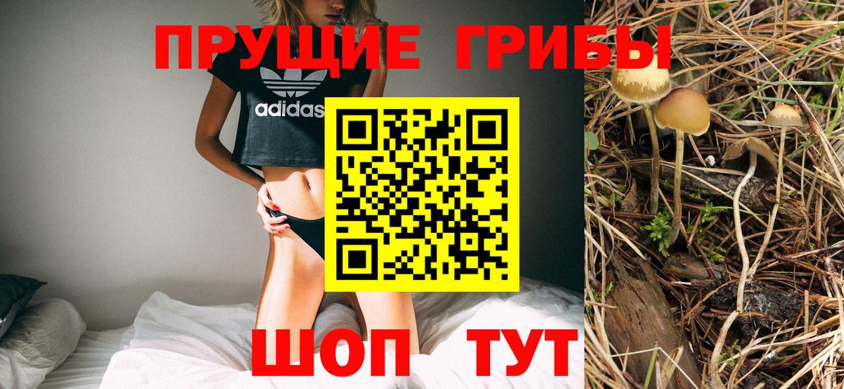 Псилоцибиновые грибы прущие грибы  Галлюциногенные грибы Cubensis  Спасск-Дальний  закладка  Вход с VPN 